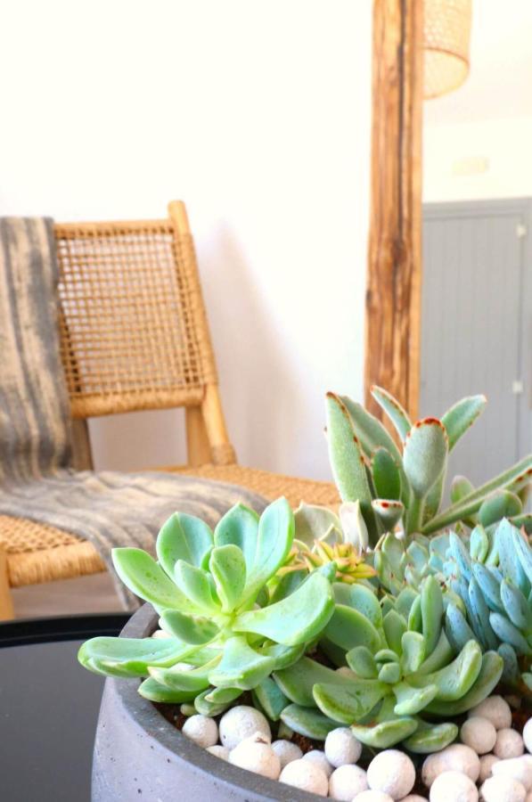Beach Apartment Thalia With Hot Tub And Sea View Άγιος Προκόπιος Εξωτερικό φωτογραφία
