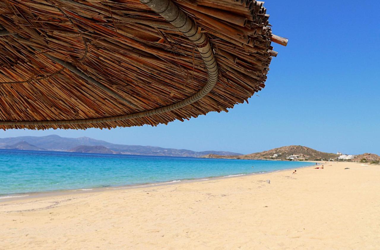 Beach Apartment Thalia With Hot Tub And Sea View Άγιος Προκόπιος Εξωτερικό φωτογραφία
